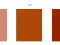 Paleta de colores de otoño: suave, verdadera y profunda. Tonos cálidos que evocan la naturaleza en su máximo esplendor.