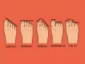 Cinco tipos de pies: egipcio, romano (dedos alineados), griego, germánico y celta. El pie romano es el que tiene el segundo dedo más corto que el pulgar.